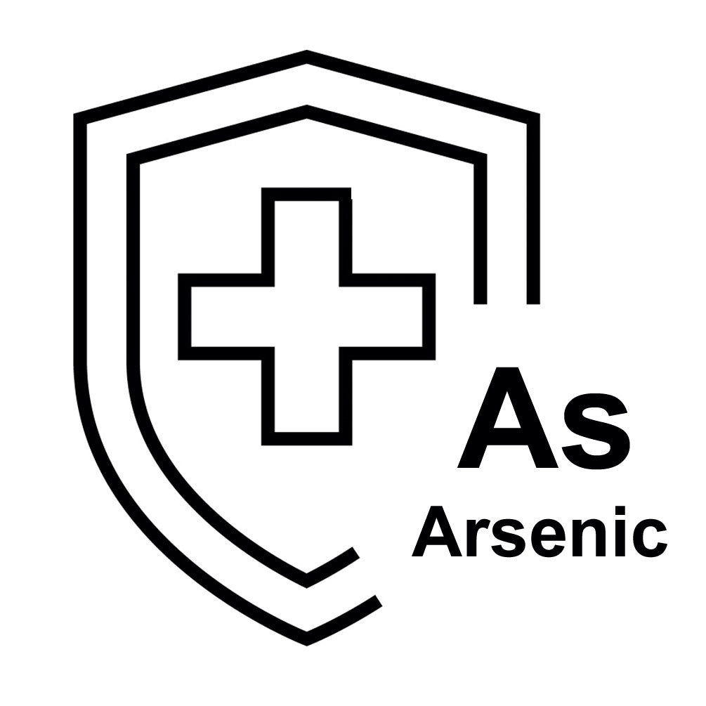 GFH 10 SX TS - Filtro acqua per arsenico